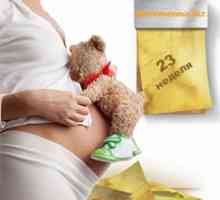 23 Tednov nosečnosti: kaj se dogaja z otrokom in mamo