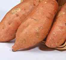 Yam ali sladki krompir - opis uporabnih lastnosti, uporaba