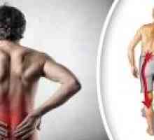 Bolečine v spodnjem delu hrbta in obupa: kaj to pomeni?