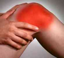 Boleče koleno v fleksijo in razširitev