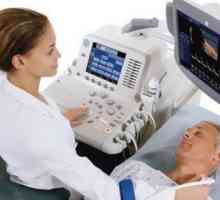 Cena in indikacije za ultrazvok možganskih žil in vratu