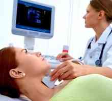 Kaj se ultrazvok ščitnice