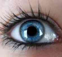 Hemophthalmus - skrbeti za vaše oči