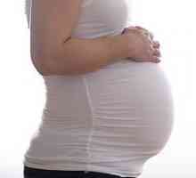 Herpes med nosečnostjo