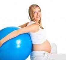 Gimnastika za nosečnice v drugem trimesečju