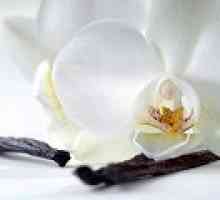 Vanilla eterična olja: aplikativne lastnosti