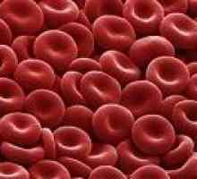 Rdeče krvne celice v urinu med nosečnostjo, je stopnja, povečanje