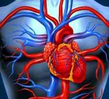 Kako za zdravljenje srčnega popuščanja