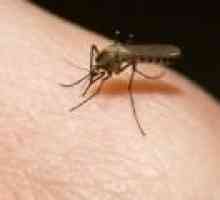 Kako za zdravljenje piki komarjev?
