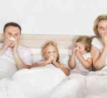 Kako zlahka premagati gripo in akutnih virusnih okužb dihal v nobeni fazi?