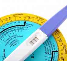 Kako določiti trajanje ovulacije