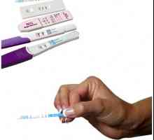 Kako uporabljati preizkus ovulacije