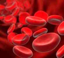 Kako povečati hemoglobina v krvi