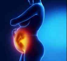 Kako je zorenje placente med nosečnostjo