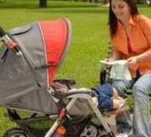 Kateri voziček odločijo za novorojenčka?