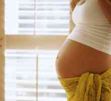 Kaj je proginova vloga pri načrtovanju nosečnosti
