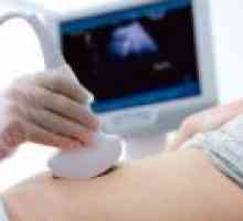 Kdaj prvi ultrazvok v nosečnosti?