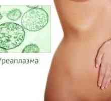 Zdravljenje Ureaplasma pri ženskah, pri moških
