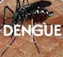Dengue vročica: vzroki, simptomi, zdravljenje