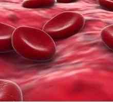Norma hemoglobina v krvi