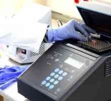 Analiza PCR: kaj je to?