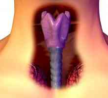 Prvi znaki raka na grlu