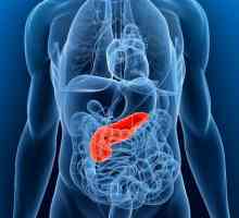 Pancreas: simptomi