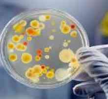 Koristne bakterije - so potrebni?