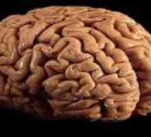 Možgani rak - vzroki, diagnoza, prognoza