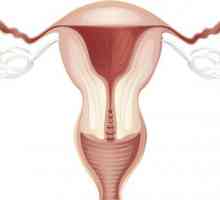 Krčenje maternice po porodu