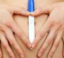 Test za ugotavljanje ovulacije