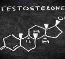 Testosteron - norma in patologija