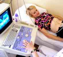 Medenice ultrazvok pri ženskah: kako pripraviti