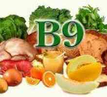 Kaj živila vsebujejo folno kislino? (Vitamin B9)