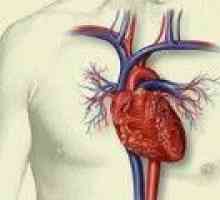 Ponovna vzpostavitev srčnega tkiva po miokardnem infarktu