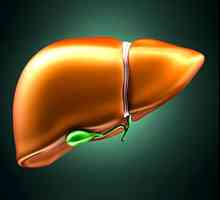 Steatozo jeter: Simptomi in zdravljenje