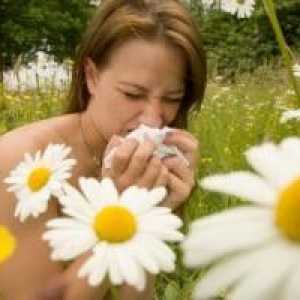 Alergija poletje pri otrocih, pri odraslih, zdravljenje