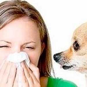 Alergije na živali, pri otrocih in pri odraslih