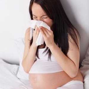 Alergije v nosečnosti