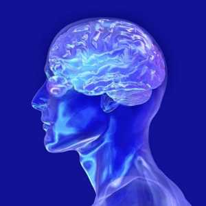 Možganska ateroskleroza: vzroki, simptomi, diagnosticiranje, zdravljenje