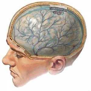Travmatska poškodba možganov