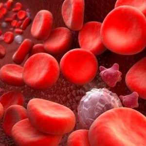 Glikoziliranega hemoglobina: kakšni stopnji?