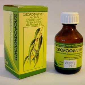 Chlorophyllipt za grgranje