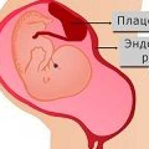 Endometrija med nosečnostjo, stopnja debeline