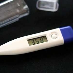 Kako meriti bazalno temperaturo za določanje nosečnosti?