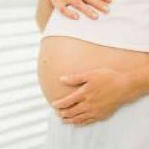 Kako žensko telo med nosečnostjo?