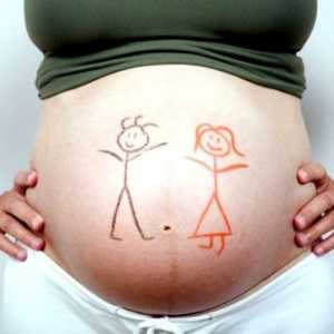 Kako vedeti spol otroka v zgodnji nosečnosti