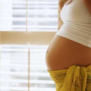 Kaj je proginova vloga pri načrtovanju nosečnosti