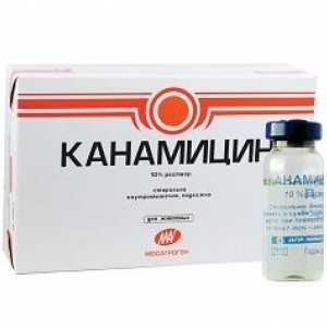 Kanamicin-