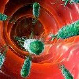 Zdravljenje Helicobacter pylori z antibiotiki